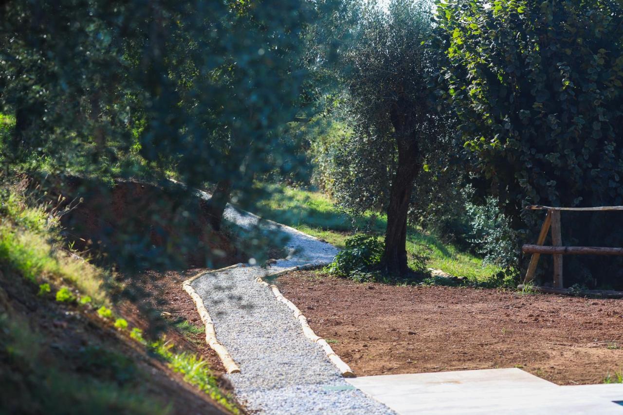 Agriturismo Terra Volonteri Montecatini Terme Bagian luar foto