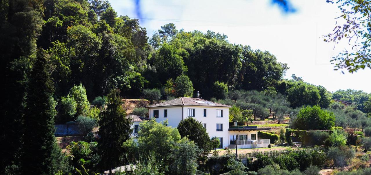 Agriturismo Terra Volonteri Montecatini Terme Bagian luar foto