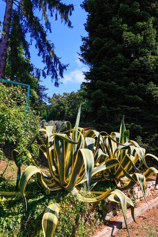 Agriturismo Terra Volonteri Montecatini Terme Bagian luar foto