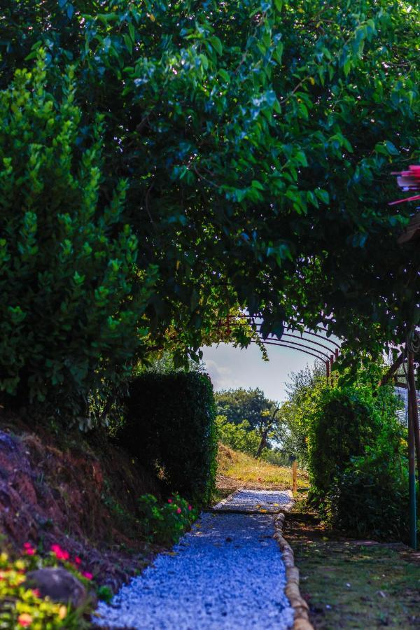 Agriturismo Terra Volonteri Montecatini Terme Bagian luar foto
