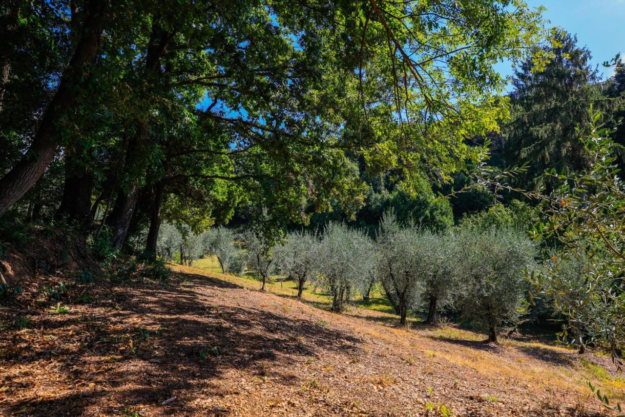 Agriturismo Terra Volonteri Montecatini Terme Bagian luar foto