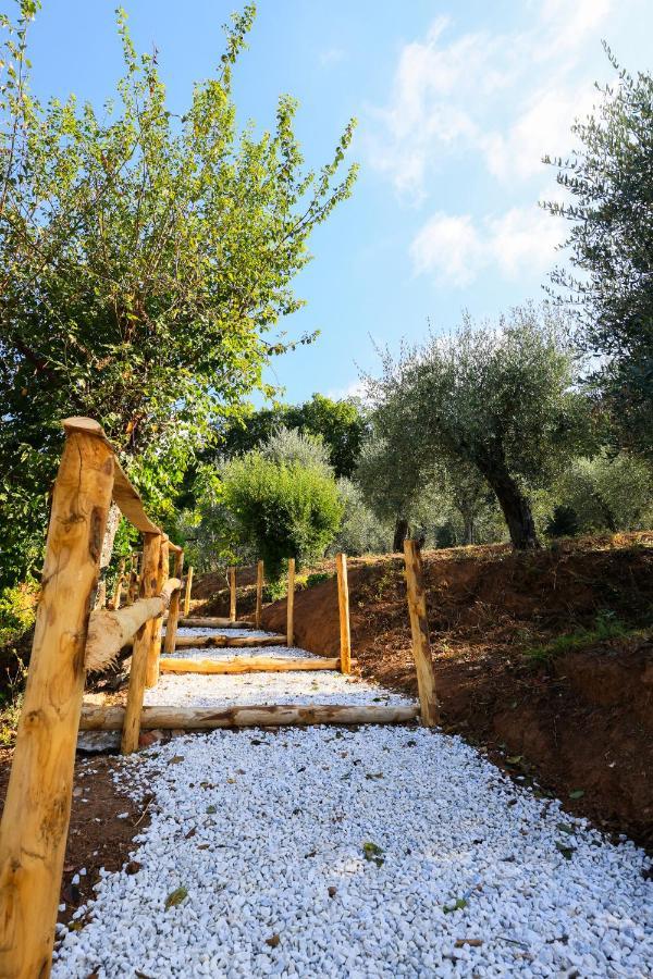 Agriturismo Terra Volonteri Montecatini Terme Bagian luar foto