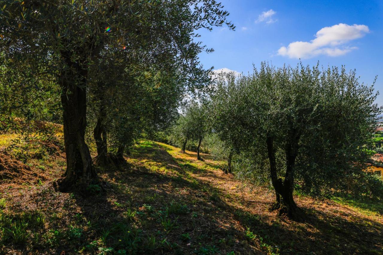 Agriturismo Terra Volonteri Montecatini Terme Bagian luar foto