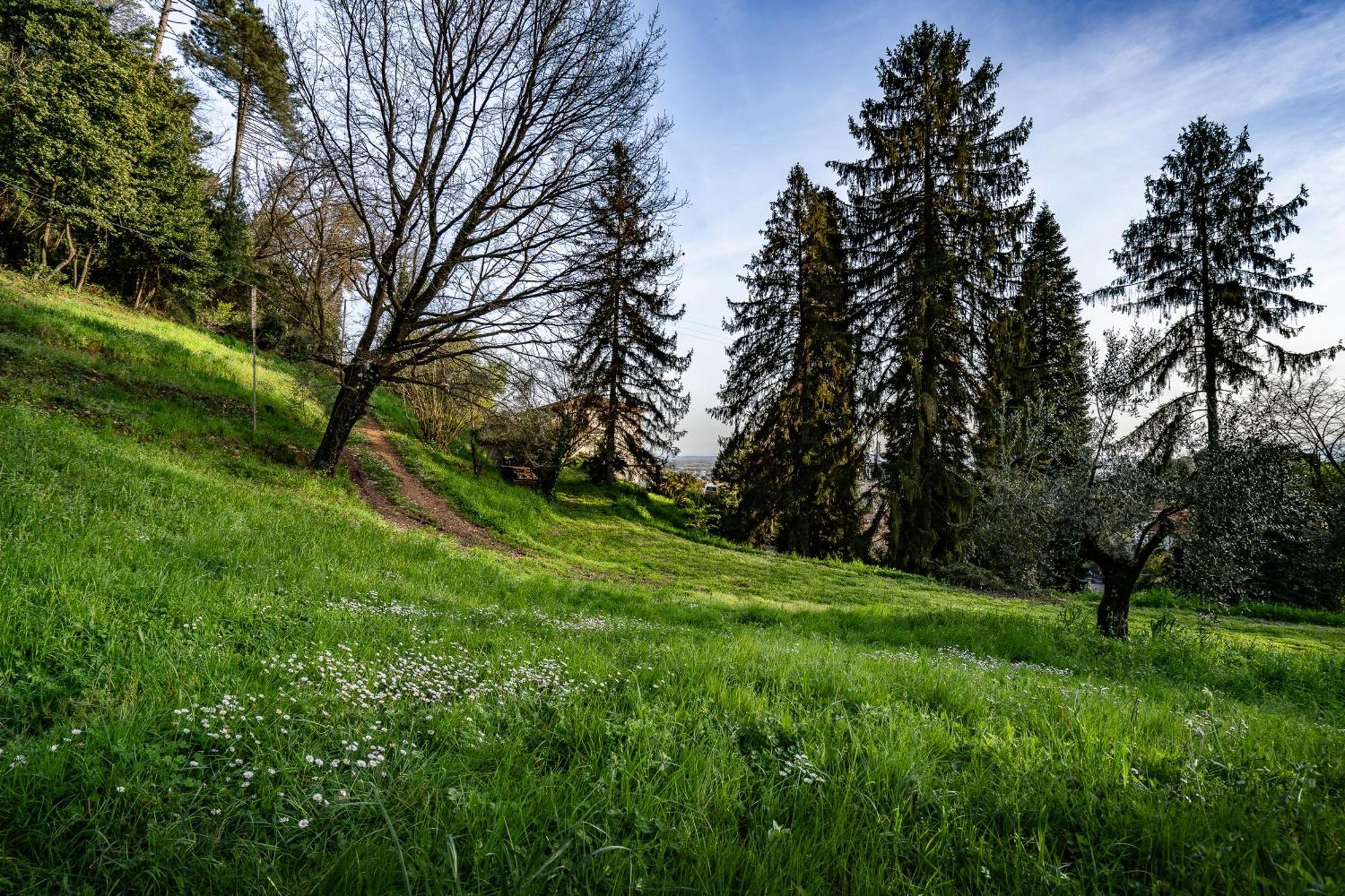 Agriturismo Terra Volonteri Montecatini Terme Bagian luar foto